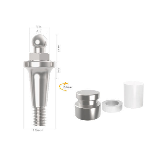 Imagen de ORING CM 4.0 X 2.5