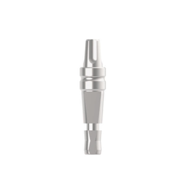 Imagen de ANALOG D/G IDEALE 3.3X6 AR