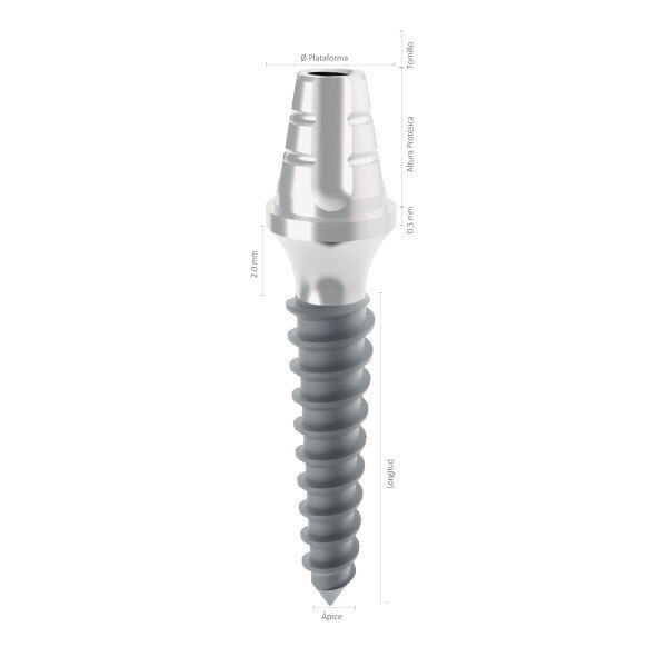 Imagen de IMPLANTE SLIM PILAR 2.5 X 6 X 13