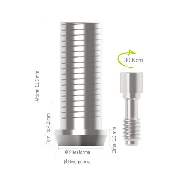 Imagen de PILAR UCLA TITANIO HE 4.0 C/HEX
